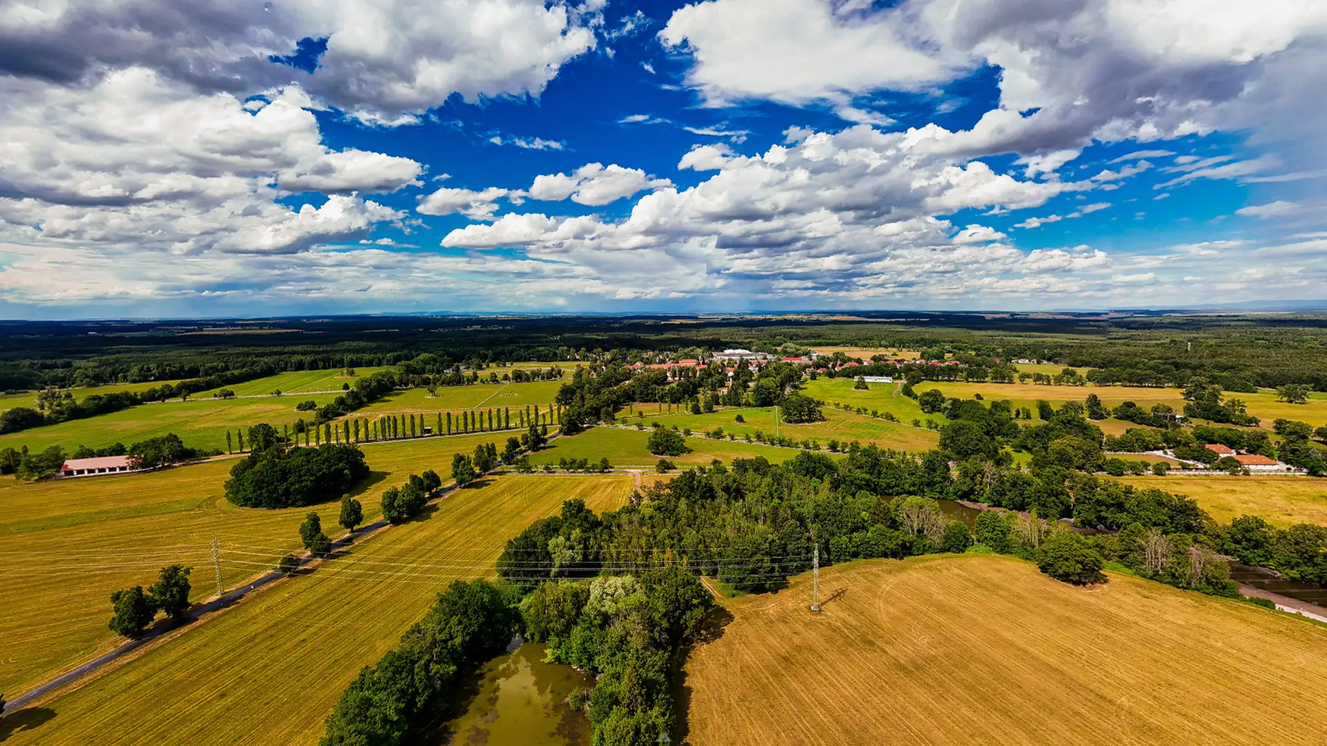 Kladruby nad Labem